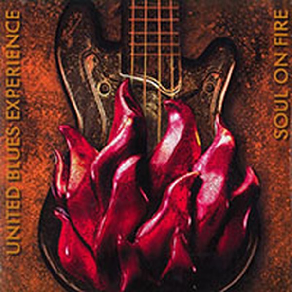 Cover: Soul On Fire